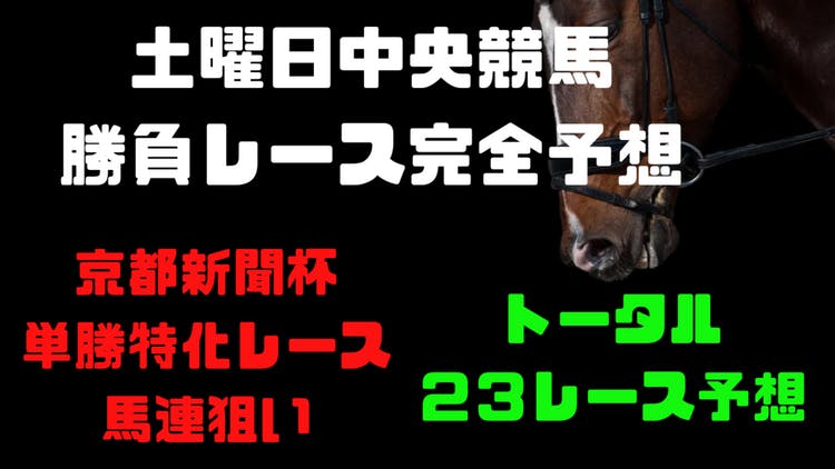 京都新聞杯など中央競馬土曜日全勝負レース予想❗２３レース❗ - DMMオンラインサロン