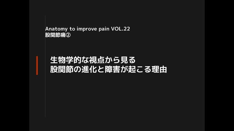 Anatomy to improve pain VOL.㉒【股関節Ⅱ】 - DMMオンラインサロン