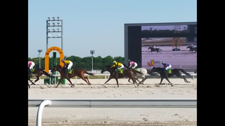 水曜日も高配当的中❗名古屋競馬木曜日全レース予想❗ - DMMオンラインサロン