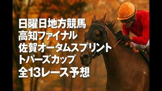 日曜日は地方競馬が凄い期待大❗️３つの注目レースなど全１３レース❗️
