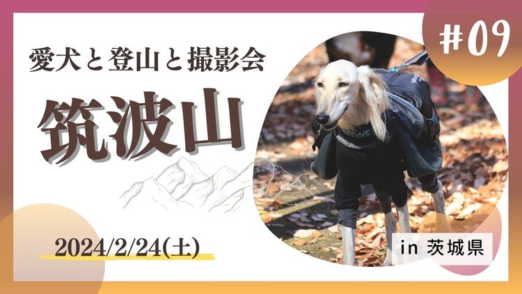 チケット販売】犬山歩〜ワンちゃんと登山〜 - DMMオンラインサロン