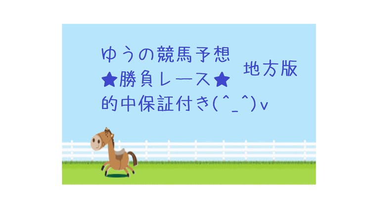 ☆地方競馬ｘ勝負レース☆ 3/11 大井11R（的中保証） - DMMオンライン