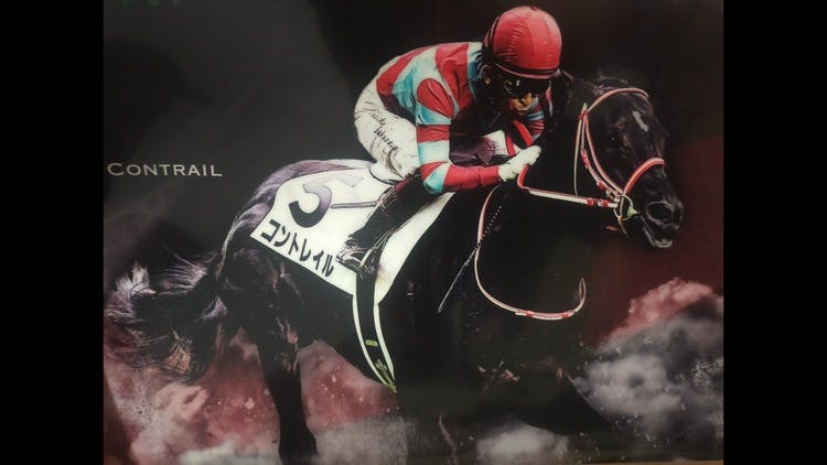 Queen徹底活用マニュアル 万馬券製造機Queen Special 〈競馬予… Queen徹底活用マニュアル 万馬券製造機Queen Special 〈競馬予… 【公式