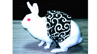 うさこ母 - みんなのうさこんち - DMMオンラインサロン