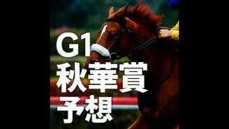 秋華賞予想❗️血統騎手分析馬券術からこの穴馬推奨❗️