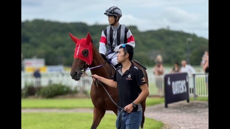調教師コラム】新設された角馬場の効果と馬体バランス - DMMオンライン