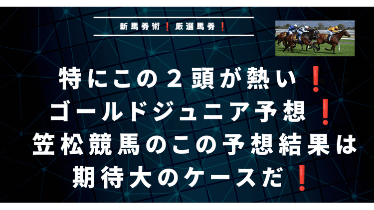 ゴールドジュニア予想❗笠松競馬最高の馬券成績予想結果の型❗ - DMMオンラインサロン