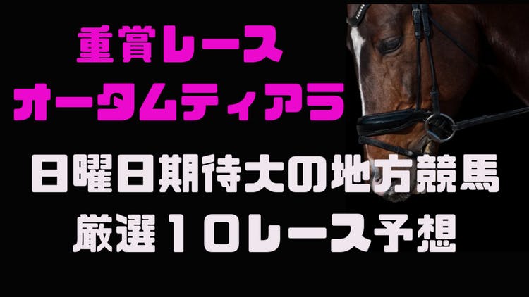 期待大の日曜日地方競馬❗️厳選１０レース予想パック❗️注目馬券多し❗️ - DMMオンラインサロン