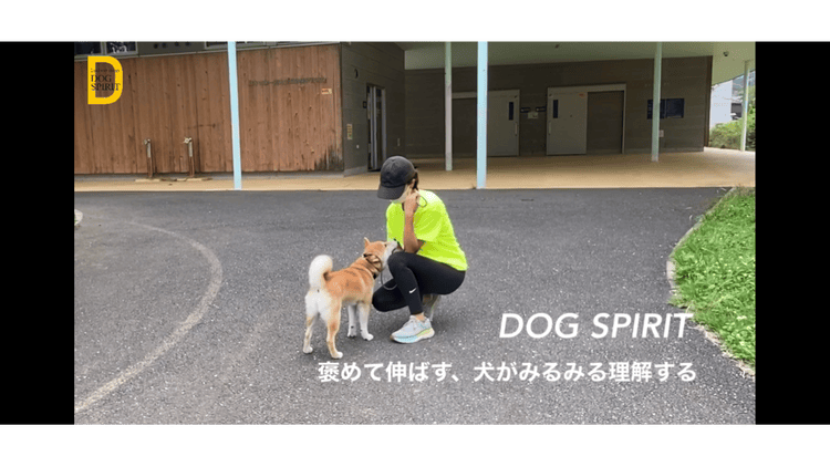 褒めて伸ばす、犬がみるみる理解する - DMMオンラインサロン