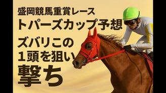 日曜日盛岡競馬重賞レース❗️トパーズカップはこの馬で決まり❗️