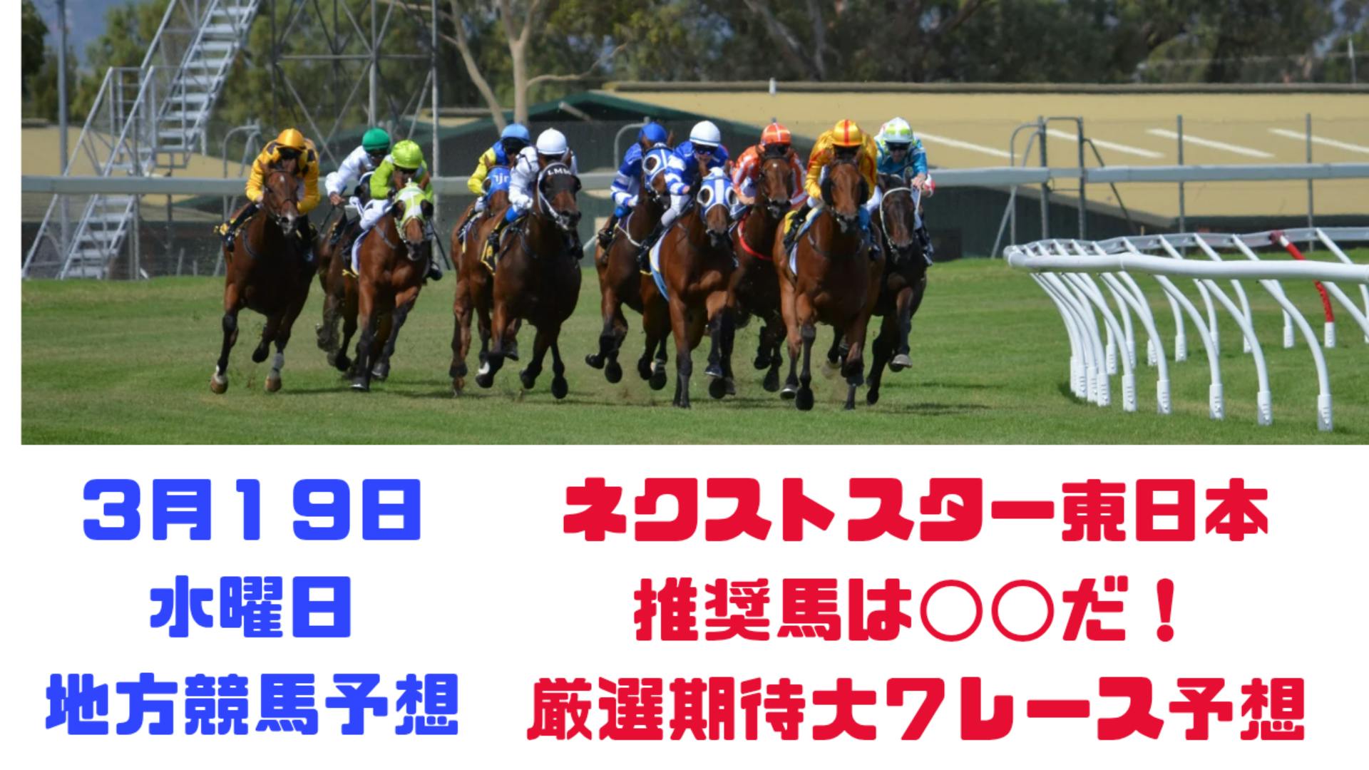 ネクストスター東日本はこの馬が勝つ❗️期待大７レース予想パック❗️
