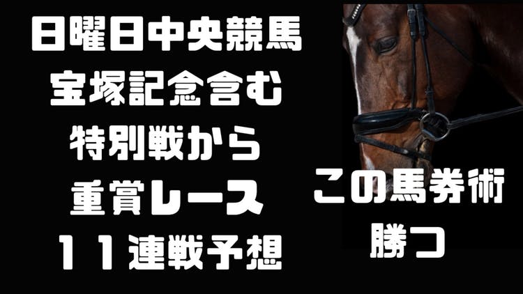 宝塚記念含む日曜日特別戦から重賞レース❗１１レース予想パック❗ - DMMオンラインサロン