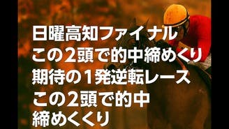 日曜日競馬ラスト❗️高知ファイナル❗️１発逆転馬券はこれだ❗️