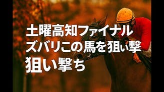 高知ファイナル予想❗️土曜日をこの馬で締めくくる❗️
