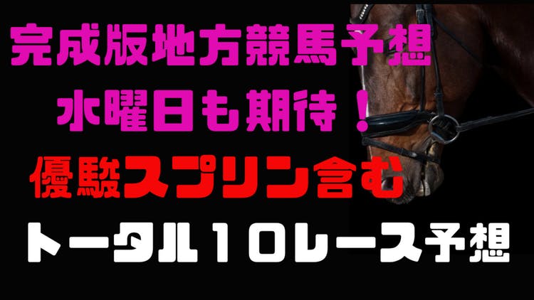 優駿スプリントだ❗完成版地方競馬馬券術で勝負する１０レース予想❗ - DMMオンラインサロン