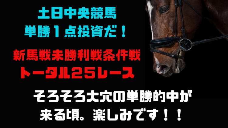 基本単勝１点勝負馬券術❗新馬戦未勝利戦条件戦から２５レース予想❗ - DMMオンラインサロン