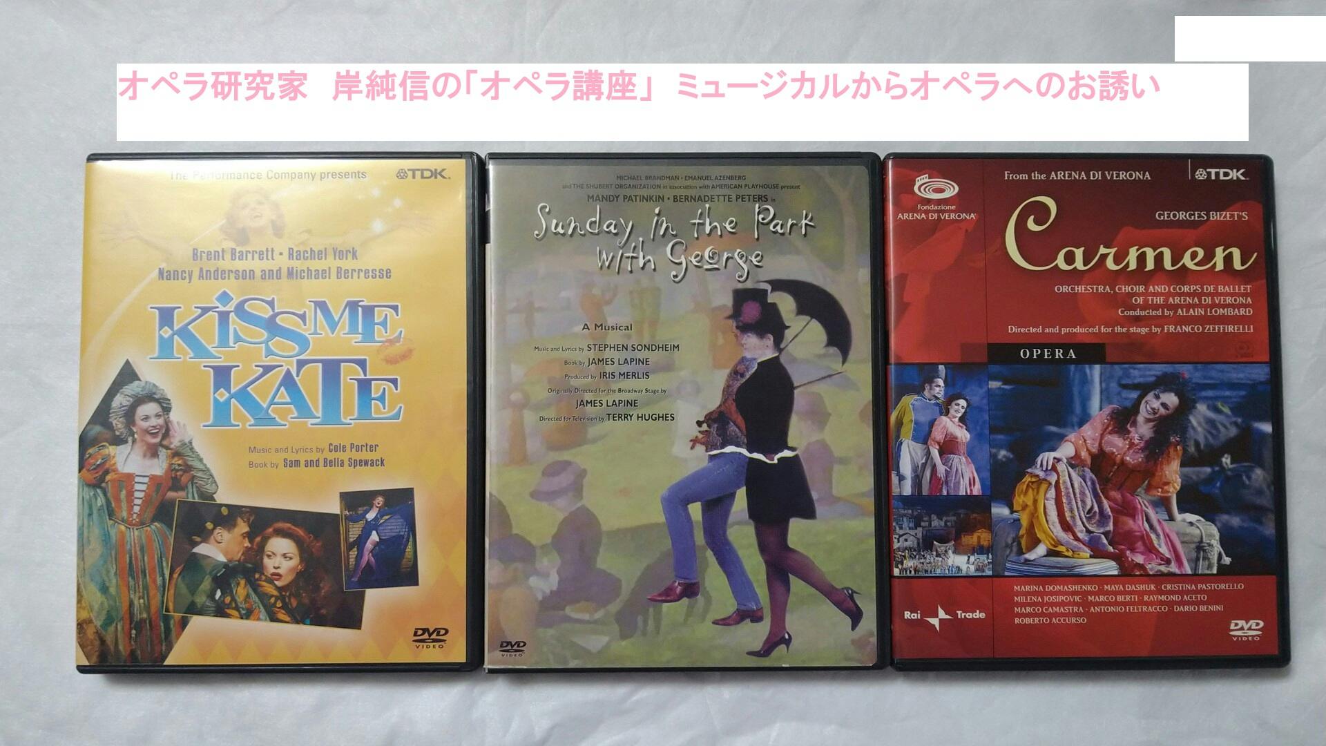 DVDクラシック音楽講座21 楽聖たちへの旅 全22巻 【公式通販】 全