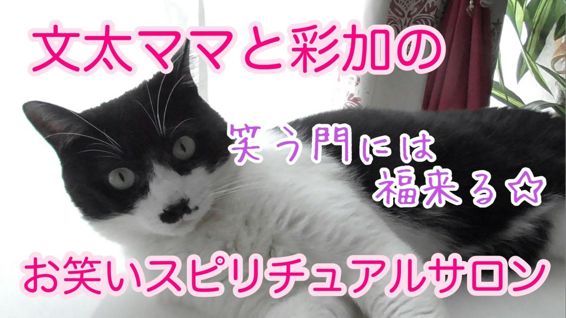 文太ママ 彩加 文太ママと彩加のお笑いスピリチュアルサロン Dmm オンラインサロン