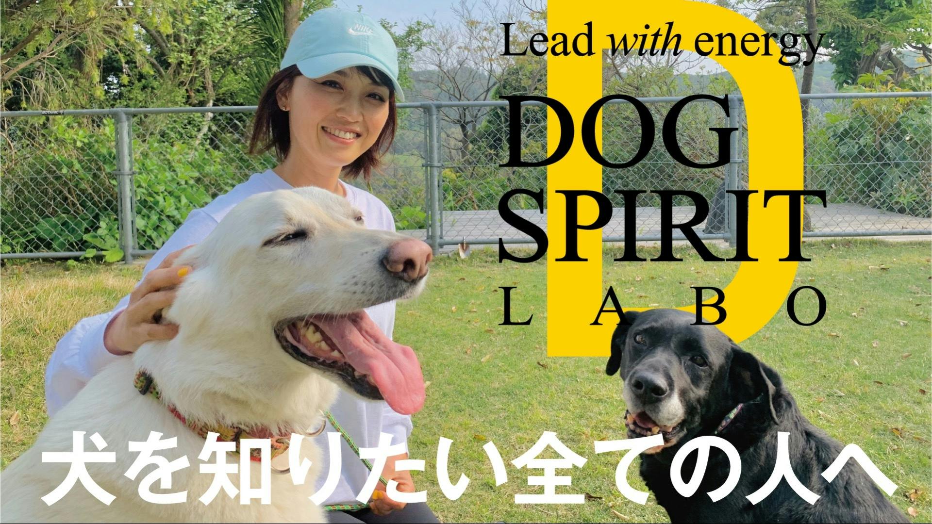 DOG SPIRIT 荒川直子 - DOG SPIRIT LABO - DMMオンラインサロン