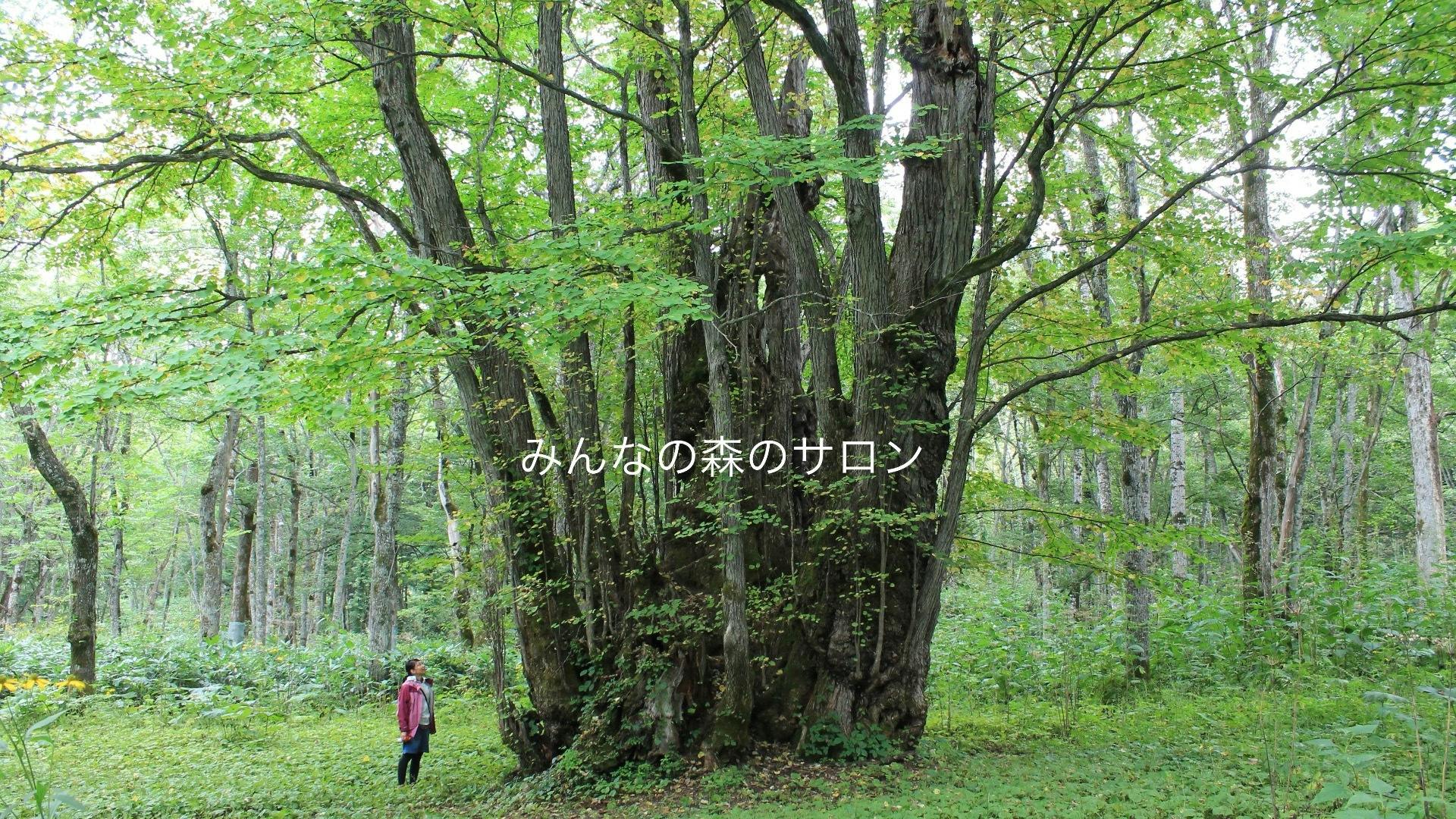 三浦 豊 - みんなの森のサロン - DMMオンラインサロン