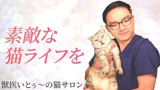 こまちゃん社長 佐藤裕太 Kポジティブカンパニー Kpc Dmm オンラインサロン