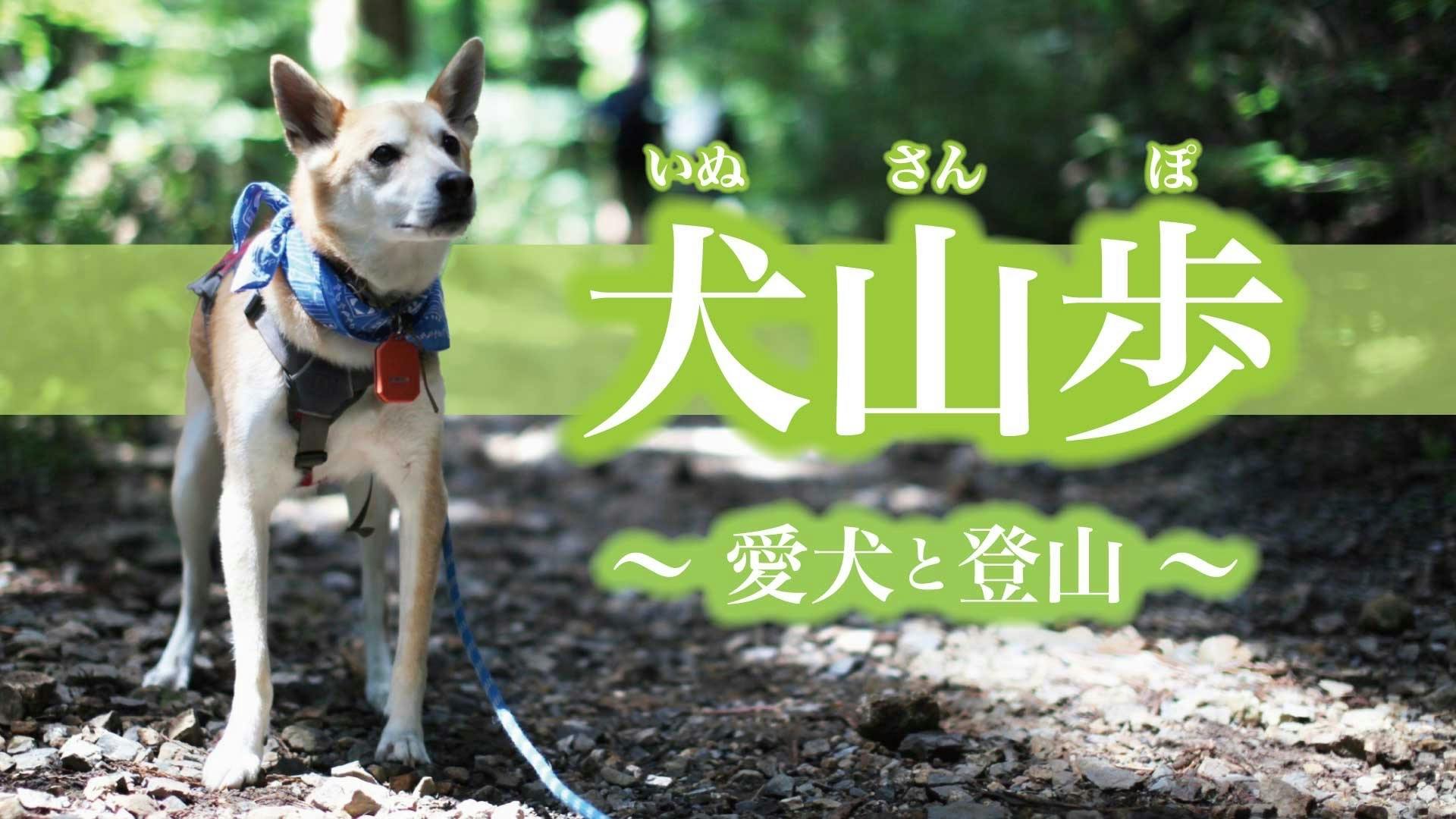 Have Fun! - 犬山歩　〜愛犬と登山〜 - DMMオンラインサロン