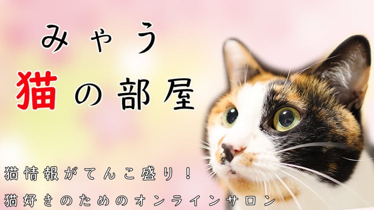 Miaou - みゃう猫の部屋 - DMMオンラインサロン