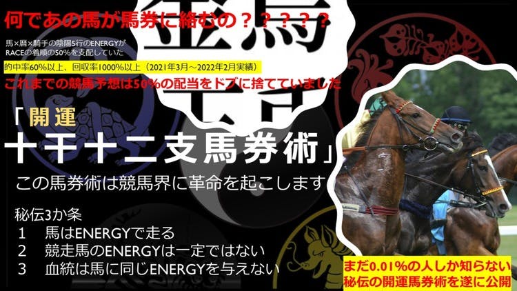 ソラディア代表 旅する陰陽師 - 開運十干十二支ENERGY馬券術～的中馬券