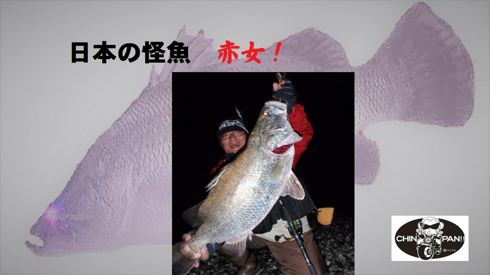 中尾史仁 ぺこぺこ 日本の怪魚 赤女 Dmmオンラインサロン