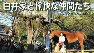 D - D u201cVIPu201d Sub Rosa ～Royal castle～ - DMM オンラインサロン