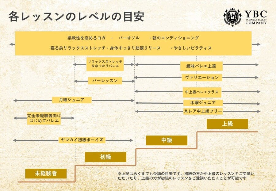 ネットショップ ヤマカイ バレエ 大阪 5月11日日本公演 ペアチケット